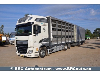 Horse truck DAF XF 460