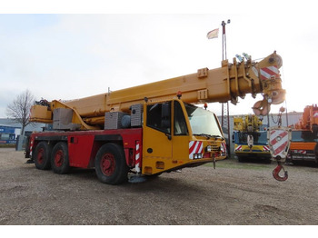 All terrain crane Terex Demag AC 50-1: picture 2