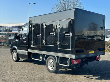 Van Mercedes-Benz Sprinter 309 cdi chassis cabine: picture 3