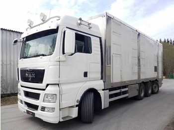 Livestock truck MAN TGX