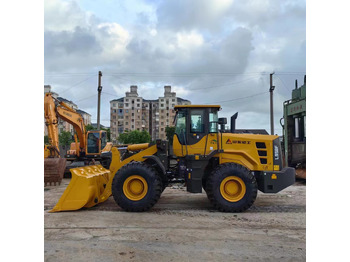 Wheel loader SDLG 958F: picture 2