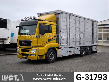 Livestock truck MAN TGX 26.440