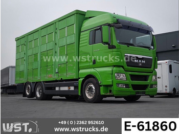 Livestock truck MAN TGX 26.480