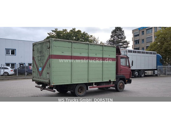 Livestock truck Mercedes-Benz 814  mit 1 Stock Viehaufbau: picture 4