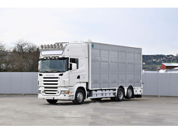 Livestock truck SCANIA R 500