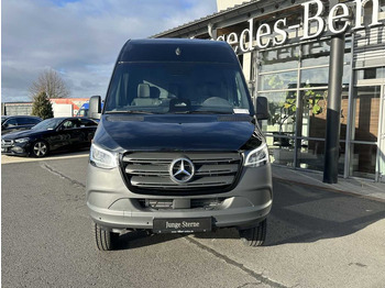 Panel van Mercedes-Benz Sprinter 319 CDI 4x4 4325 Klima LED Kamera Leder: picture 2