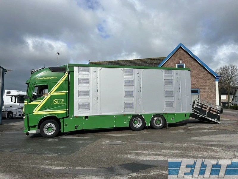 Livestock truck Volvo FH FH 540 6x2 1/2/3 Finkl Livestock -- Water and Ventilation - Lifting roof - Lifting floors + Trailer 1/2/3 Finkl: picture 12