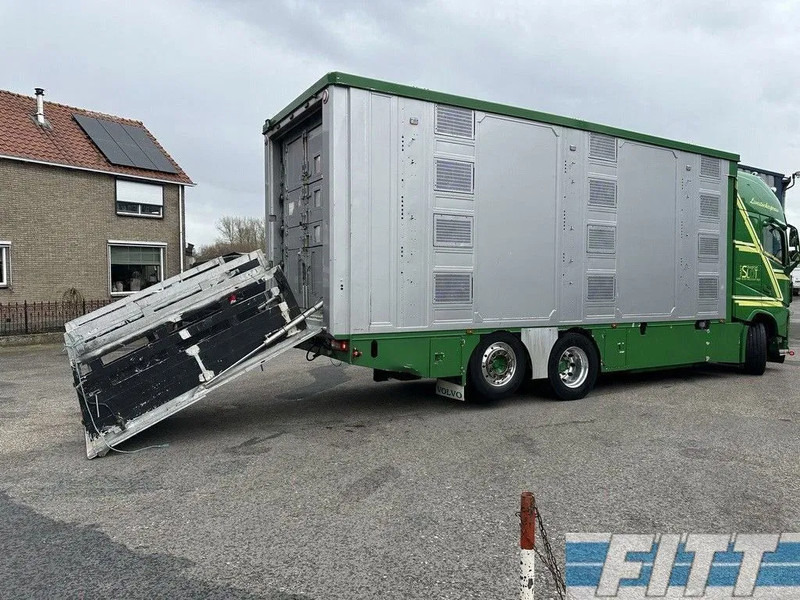 Livestock truck Volvo FH FH 540 6x2 1/2/3 Finkl Livestock -- Water and Ventilation - Lifting roof - Lifting floors + Trailer 1/2/3 Finkl: picture 10