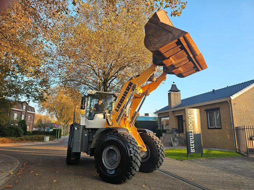 Wheel loader Liebherr L566 xPOWER: picture 6